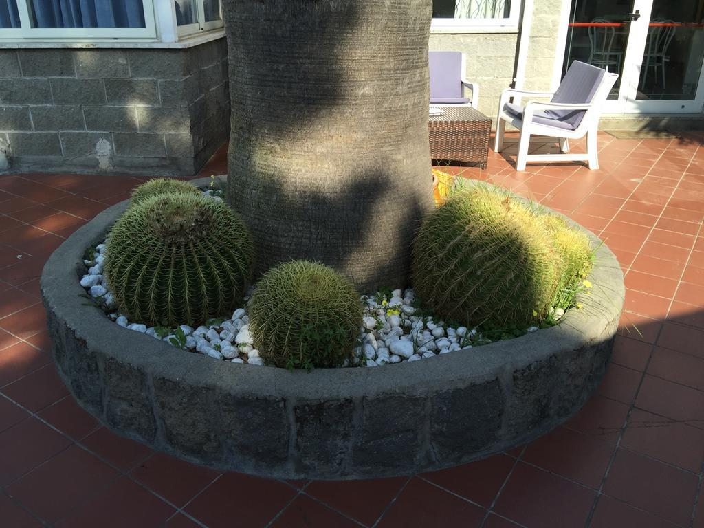 Hotel Villa Al Parco Forio di Ischia Buitenkant foto